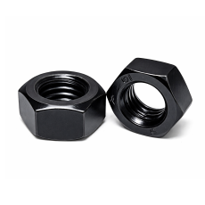 콜라육각너트 [착색]